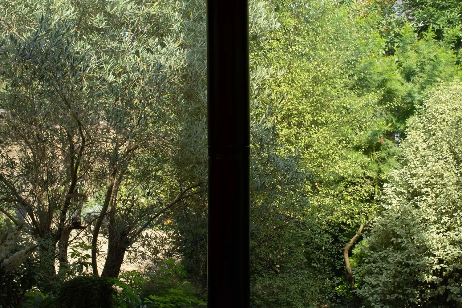 Hidden House, Clerkenwell Green, EC1 &mdash; Garden