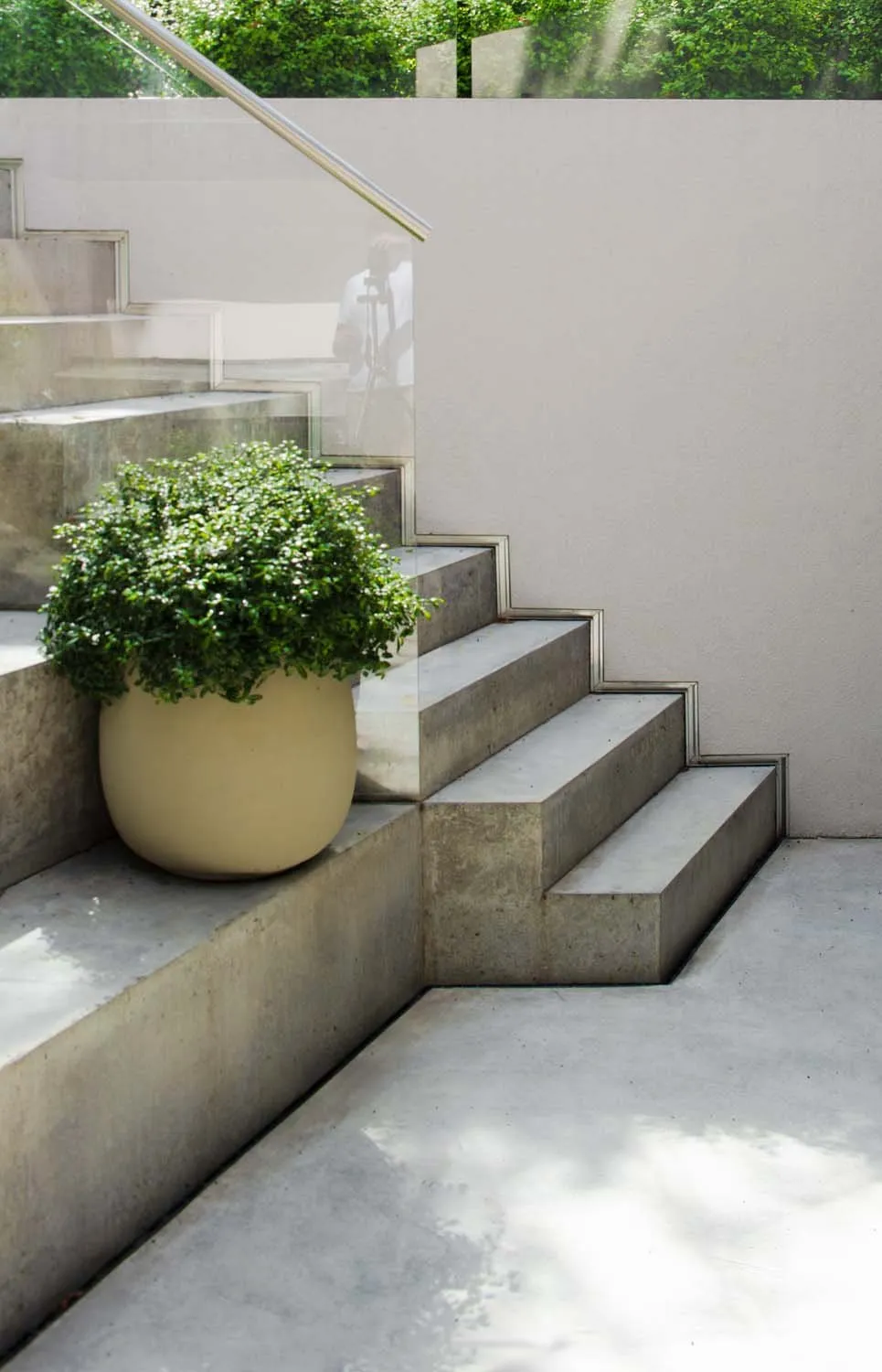 Meadow Grove, Barnes, SW13 &mdash; Garden planter